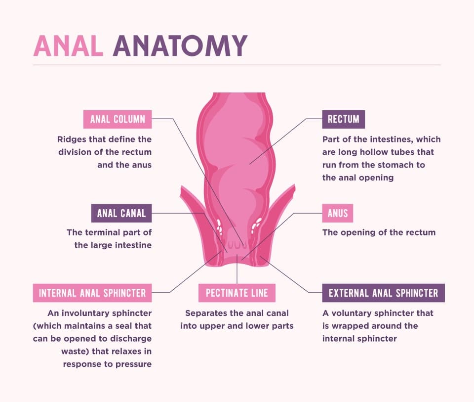 Anal Sex Myths Truths And How To Without Pain Xs And Os